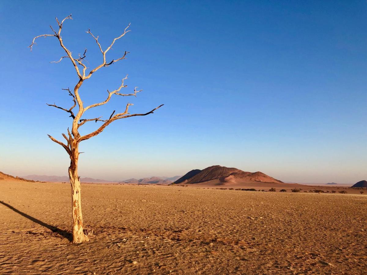 Greenfire Desert Lodge Maltahohe Dış mekan fotoğraf