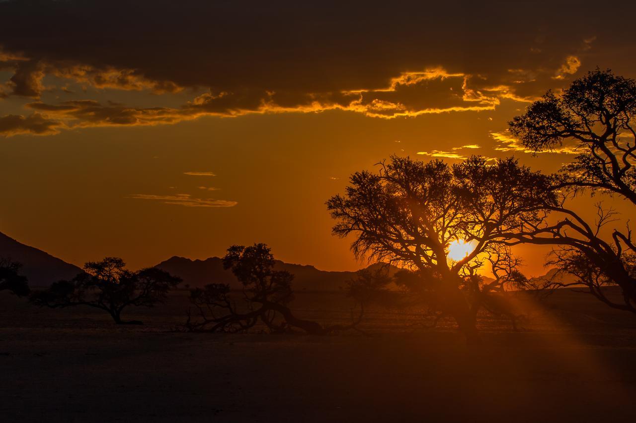 Greenfire Desert Lodge Maltahohe Dış mekan fotoğraf